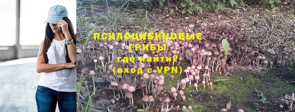 гидра Протвино