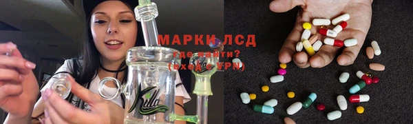 крисы Абдулино