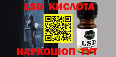крисы Берёзовский
