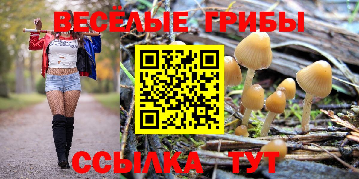 Галлюциногенные грибы MAGIC MUSHROOMS  Вход с VPN  Гагарин 
